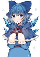 1529x2185