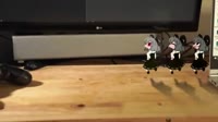 640x360