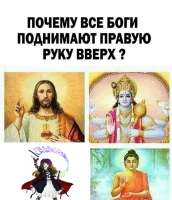 520x604