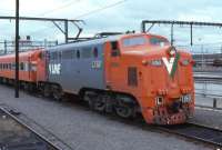 795x539