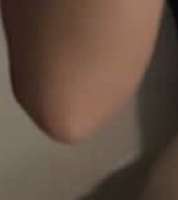 395x442