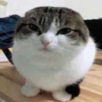 300x300