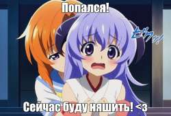 981x671