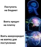 448x507