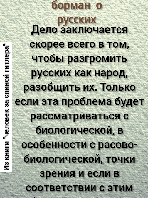 504x675