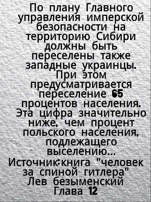 504x675