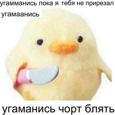 400x400