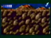 480x360