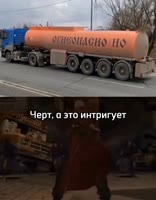 576x736