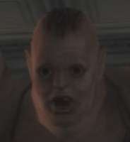 230x250