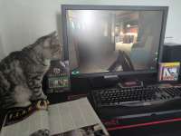 1280x960