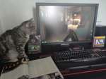 1280x960