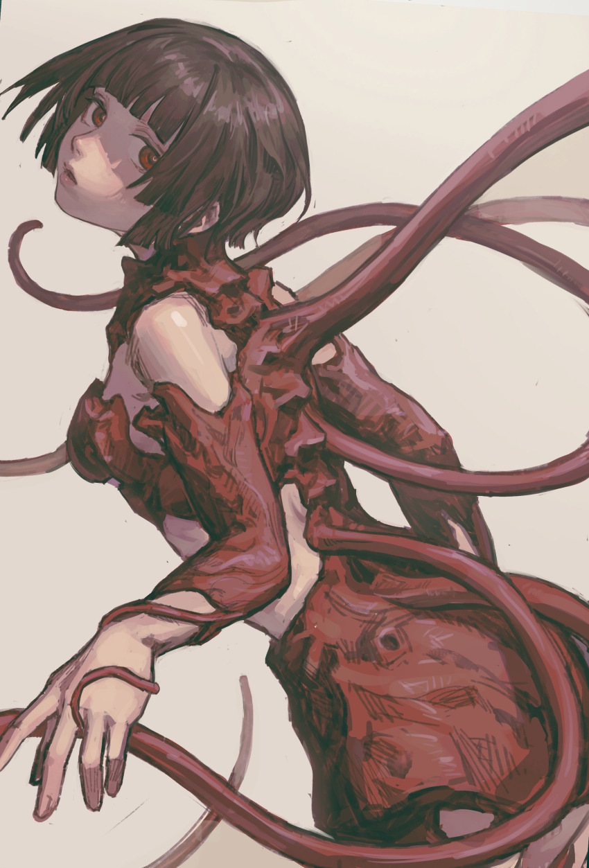 850x1253