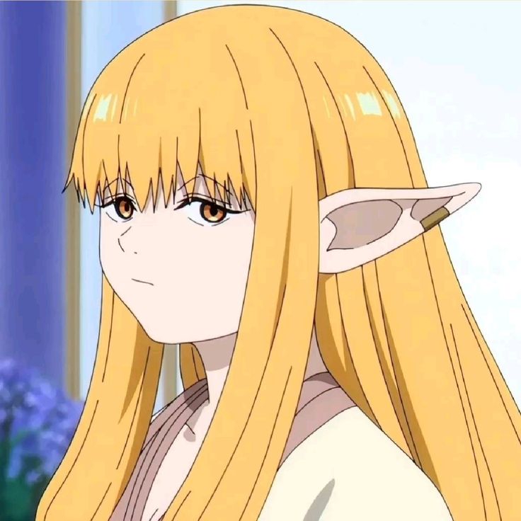 736x736