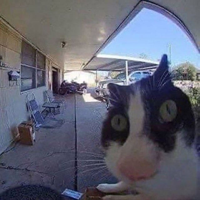 640x640