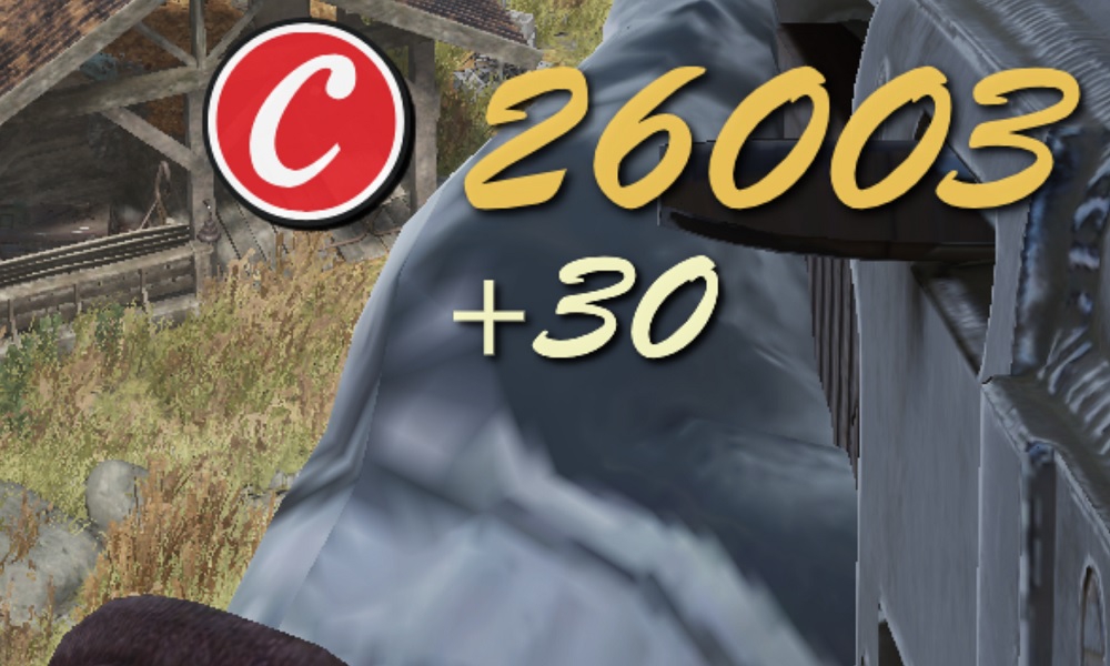 1000x600
