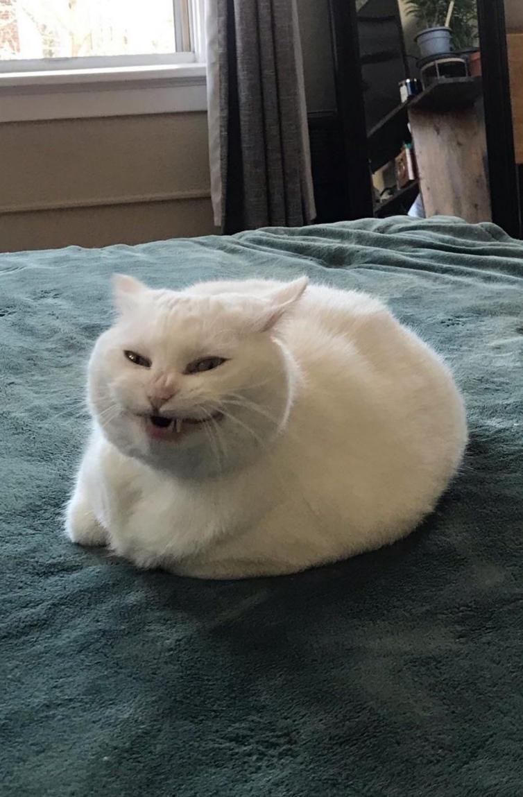 754x1149