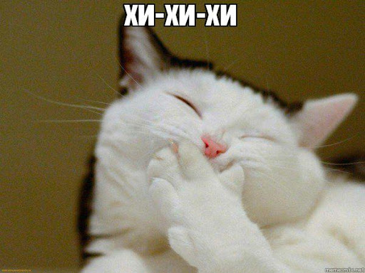 512x384