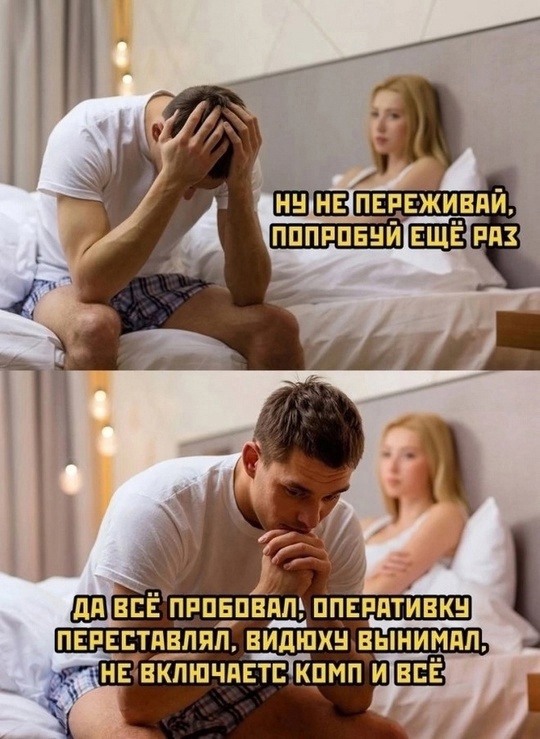 540x739