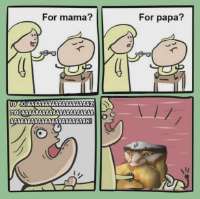 492x491