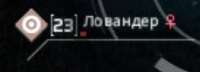 927x338