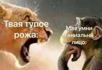 960x660