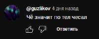 248x100