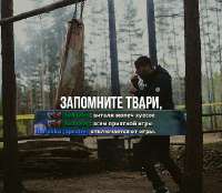 547x476