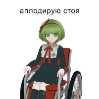 736x736