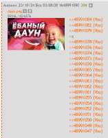 379x482