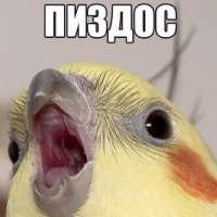 400x400