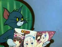 949x720