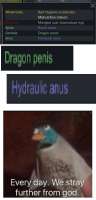 335x694