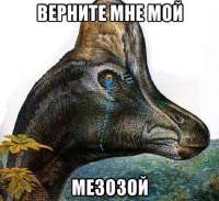526x482