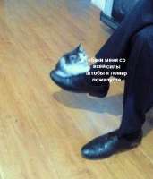 436x507