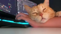 1280x720