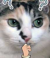 368x429