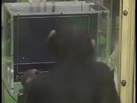 320x240