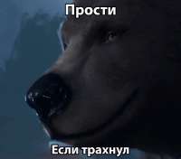 498x440