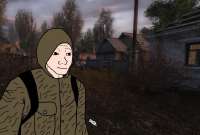 736x498