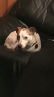 360x640