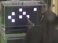 480x356