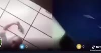 480x256