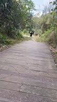 360x640