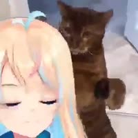 360x360