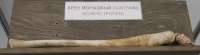 1200x331