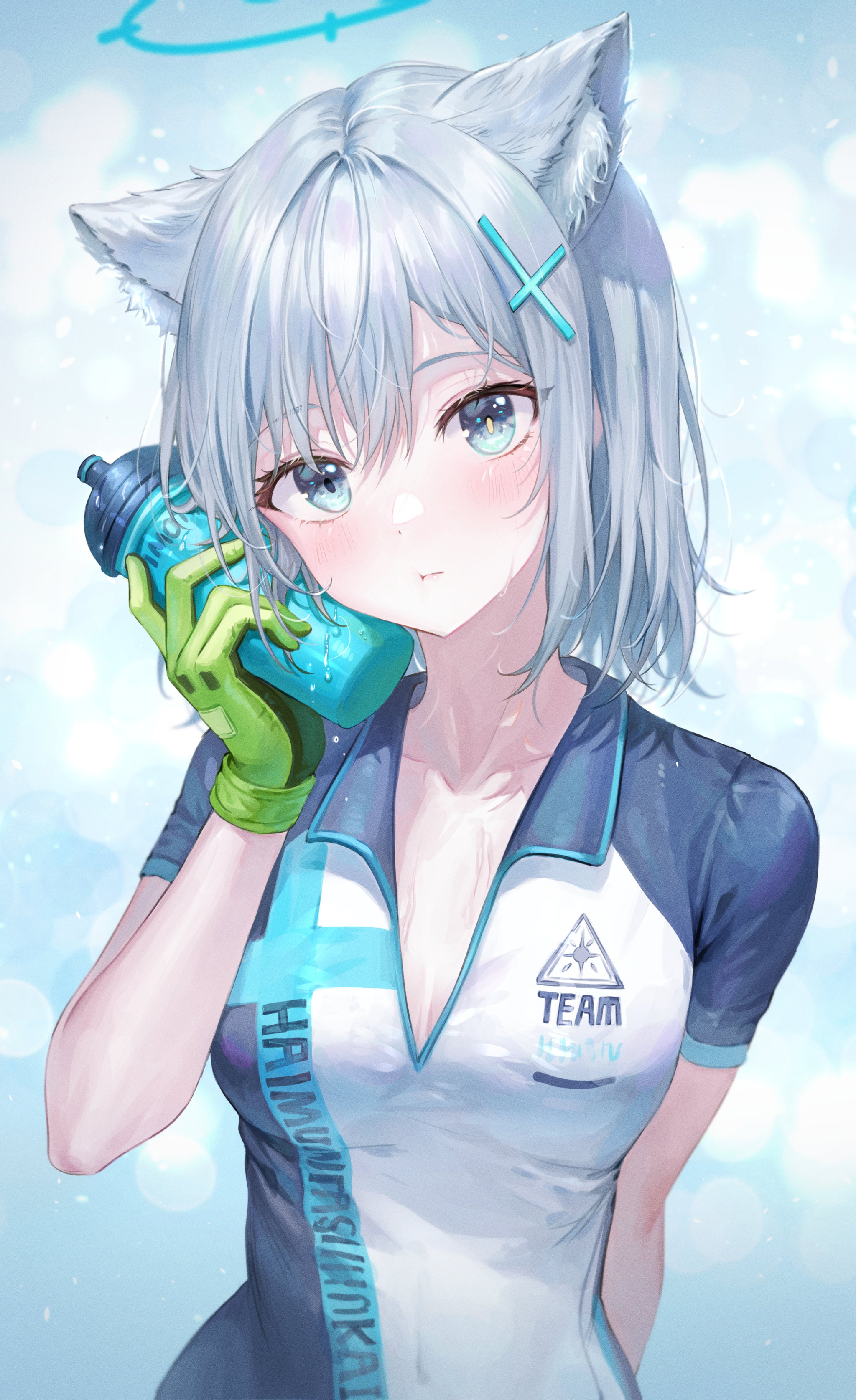 2048x3353