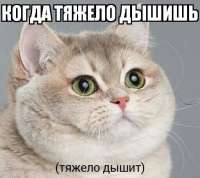 512x457