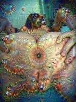 600x800
