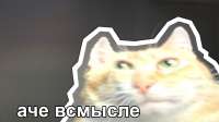 1280x720